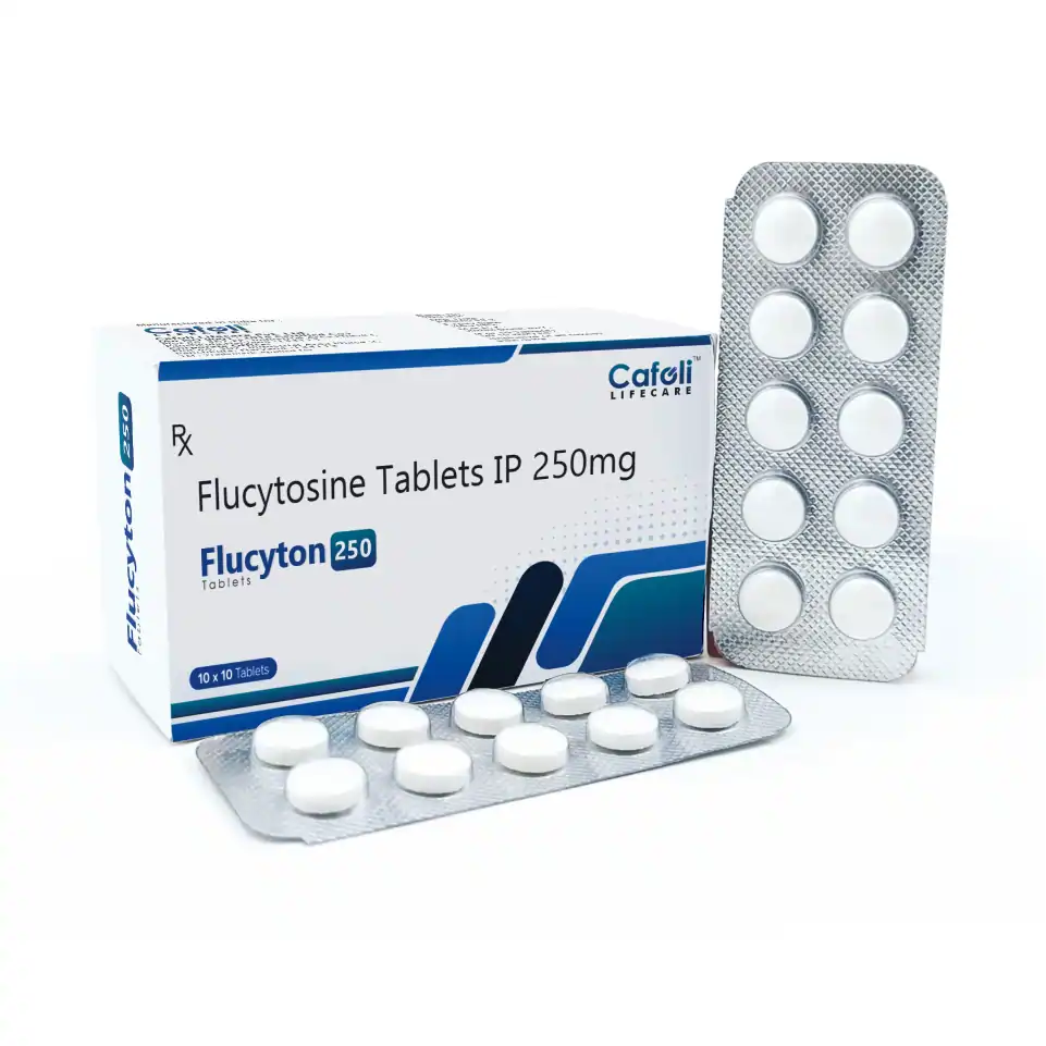 Systemic Antifungal Tablet Manufacturing & Export